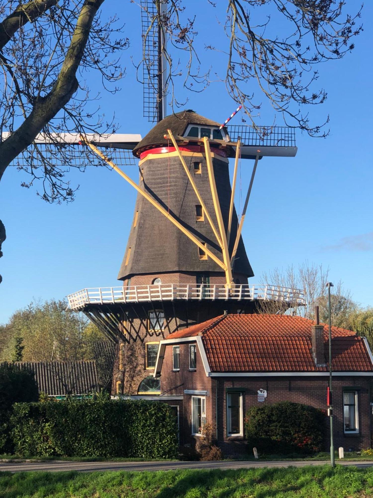 Slapen In De Molen Hotel Arkel Bagian luar foto